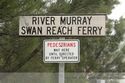 River Murray Swan Reach Ferry