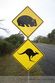 Warnung vor Roo und Wombat