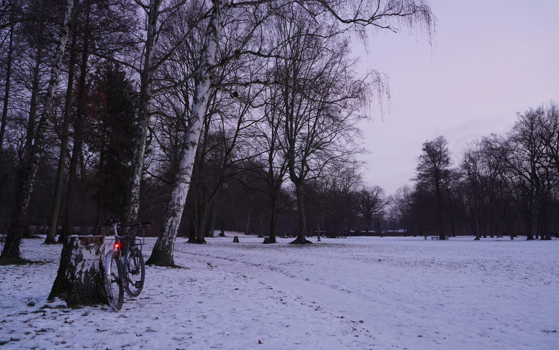 Winterparkbike