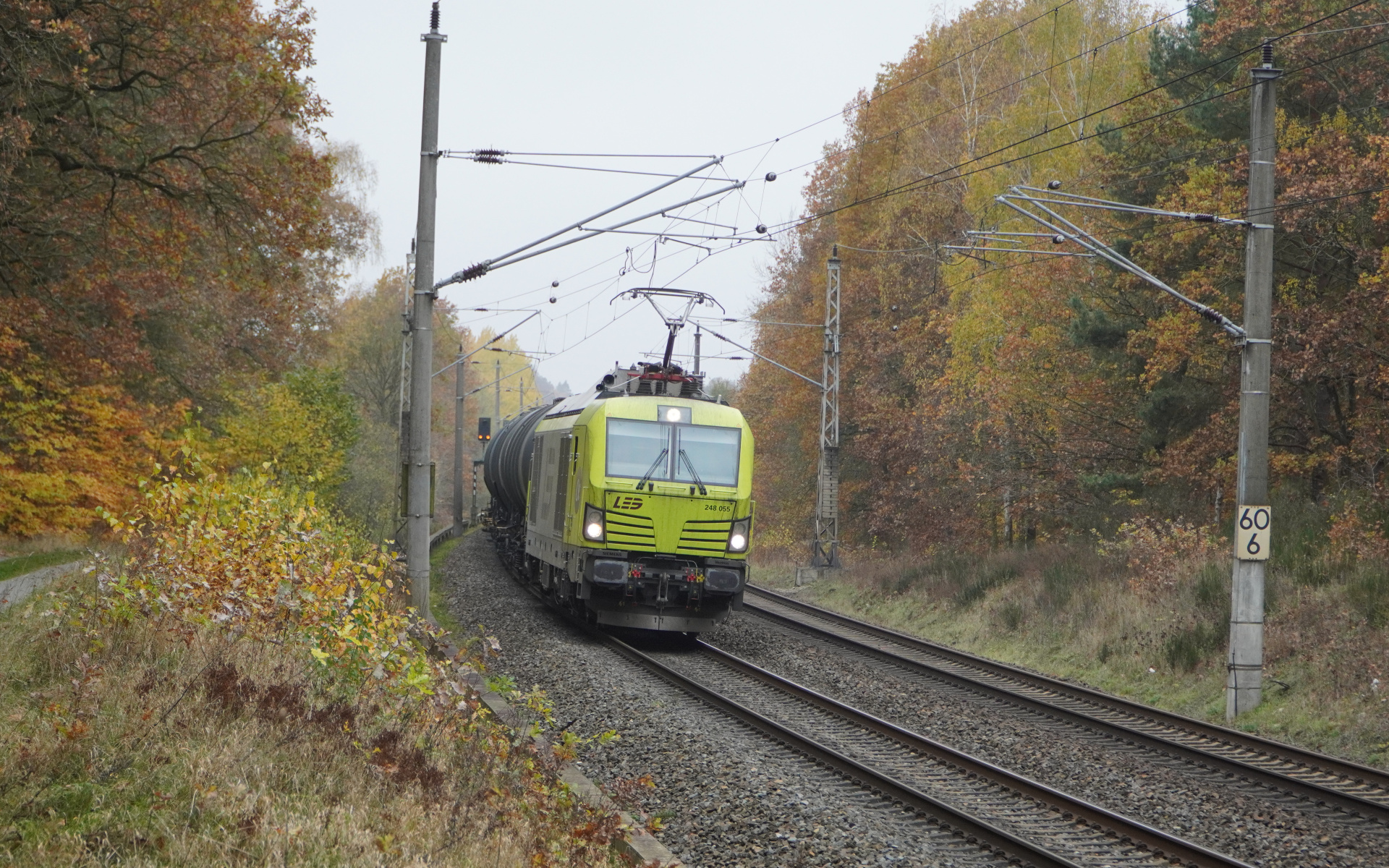 LEG 248 055 bei Serwest