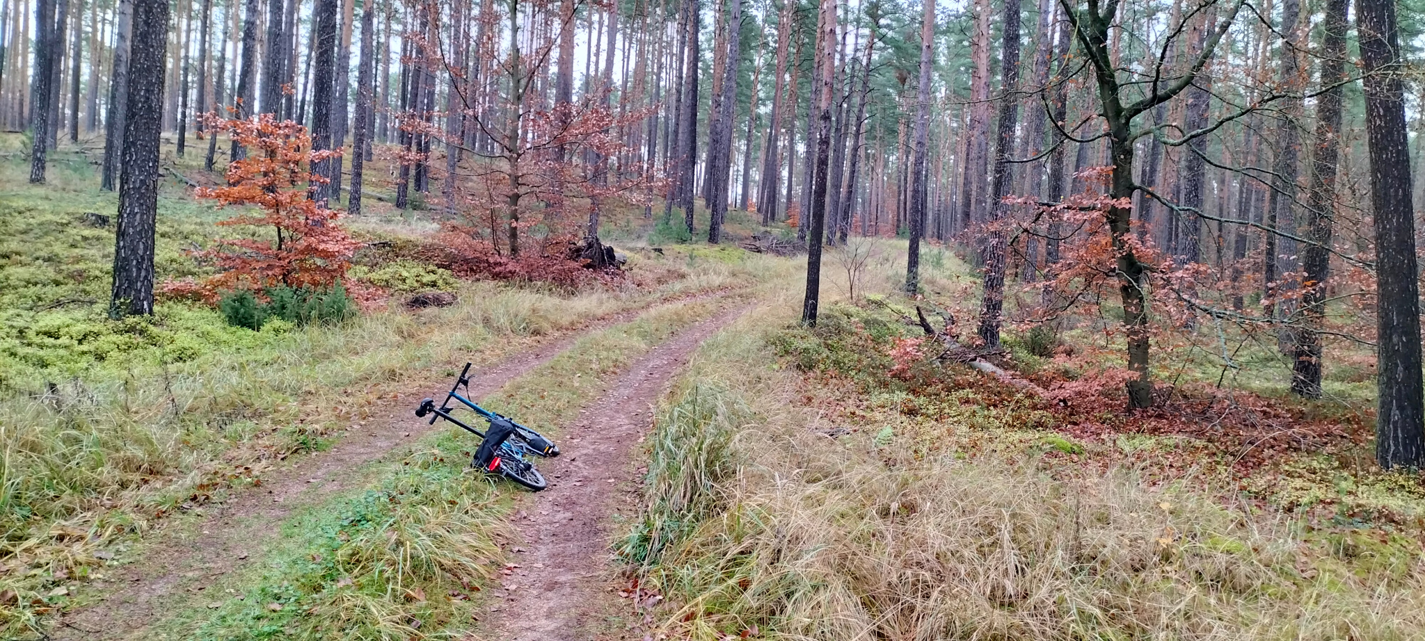 Bromptoning im Barnim